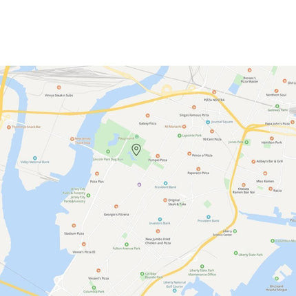 TrackCat | GPS Volgsysteem voor Katten met Real-Time Updates